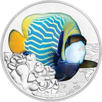 Sběratelství Niue Island Angelfish 1 Oz