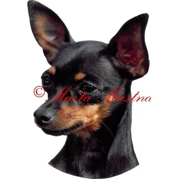 Samolepka pražský krysařík 537