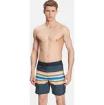 Quiksilver Plavecké šortky Everyday EQYBS04791 Barevná Regular Fit 31