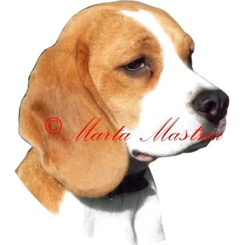 Samolepka bígl, beagle 281