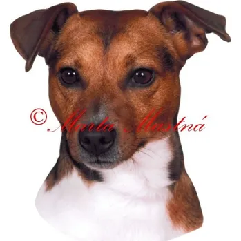 Samolepka Parson Jack Russel teriér archiv 200