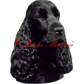 Samolepka kokršpaněl 357