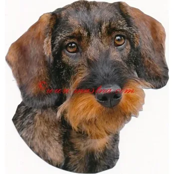 Samolepka jezevčík drsnosrstý, hrubosrstý 493