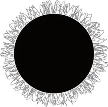 12V AQ-LION LEŠTÍCÍ KOTOUČ S VELCRO, VLNA 75 MM OK034071 ROOKS