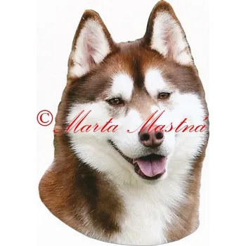 Samolepka sibiřský husky - archiv 265