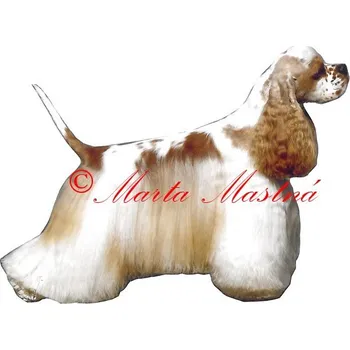 Samolepka americký kokršpaněl archiv 669