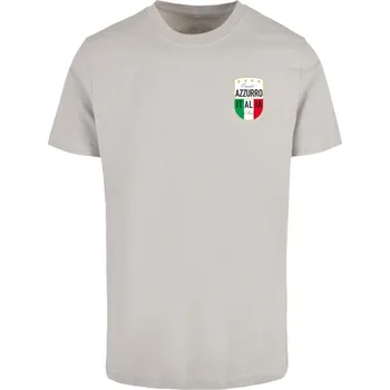 Pánské tričko Azurro Italia Crest Tee - lightasphalt 3XL