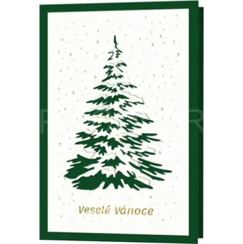 Novoročenka TERMORAŽBA C284 - PF 2026