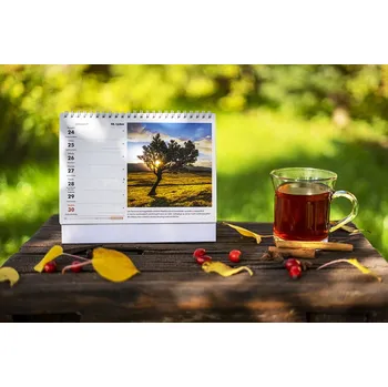 Kalendář Stolní kalendář 2025 - Jolana Sedláčková