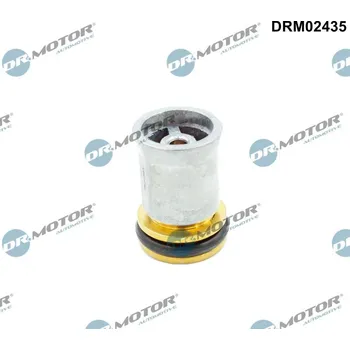 Těsnění motoru zpětný ventil Dr.Motor Automotive DRM02435