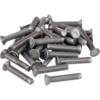 Nýt Nýt ocelový se zápustnou hlavou 6 x 24 mm (0,5 kg/bal)