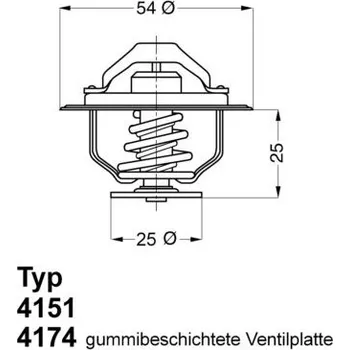 Auto-moto Termostat, chladivo BorgWarner (Wahler) 4174.79D