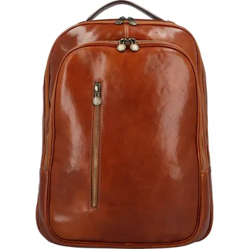 Městský batoh Luxusní kožený batoh Delami Hedda, koňakový