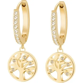 Náušnice Náušnice Brosway Chakra BHKE005 - pár + dárek zdarma