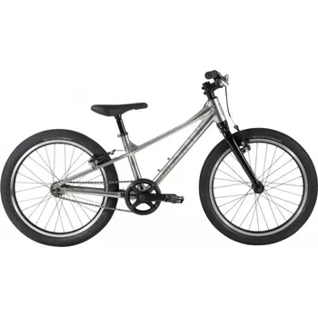 Dětské kolo MARIN Coast Trail 20" 1sp, strieborná/čierna 2024