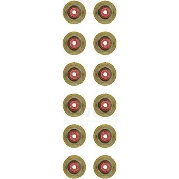 Těsnění motoru Sada těsnění, dřík ventilu VICTOR REINZ 12-12155-01