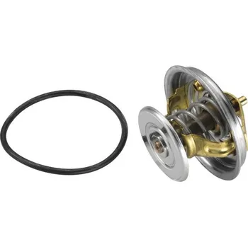 Těsnění motoru Termostat, chladivo BorgWarner (Wahler) 4078.87D