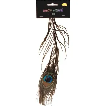 Set školních potřeb Pióro pawia 25cm