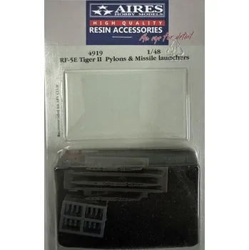 Plastikový model 1/48 RF-5E Tiger II pylons&missile launchers (AFV)
