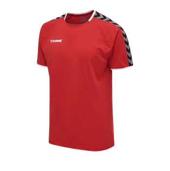 Oblečení a móda Triko Hummel AUTHENTIC TRAINING TEE 205379-3062 Velikost S