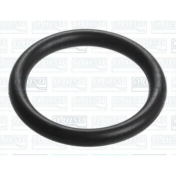 Těsnění motoru Těsnění, koleno sacího potrubí AJUSA 16091100