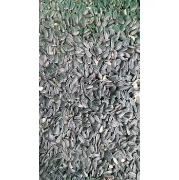 Pro ptáka Fauna Hradil Černá slunečnice Hmotnost: 3 kg