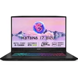MSI Katana 17 (B12UDXK-886CZ)