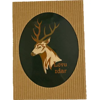 ETEX Hořice Pánský kapesník 1 ks - LOVU ZDAR barva: zelená - 1 ks