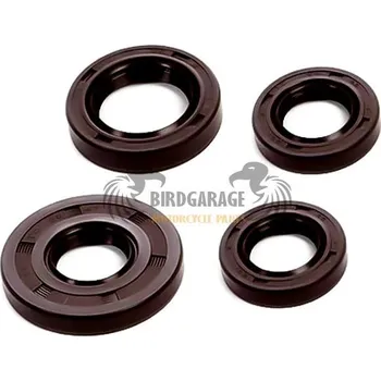 Motor pro motocykl Gufera motoru - sada JAWA 50 Pionýr 20,21,23