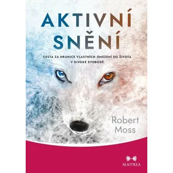 Aktivní snění - Robert Moss