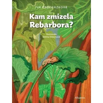 Kam zmizela Rebarbora? - Iva Procházková