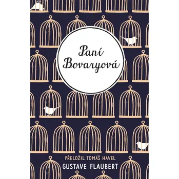 Paní Bovaryová - Jovanka Šotolová (E-Kniha)
