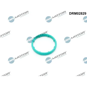 Motor automobilu Těsnění, chladič oleje Dr.Motor Automotive DRM02829