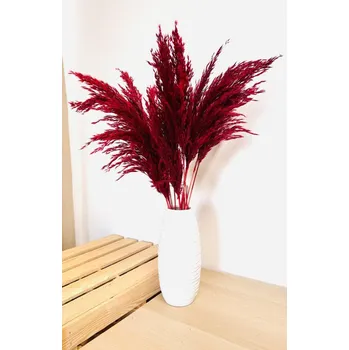 umělá květina Sušená pampová tráva (pampas) vínová svazek 10ks, 50cm-60cm