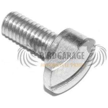 Motor pro motocykl Šroub horního krytu motoru JAWA 50 Pionýr 05, 20, 21