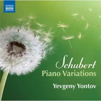 Zahraniční hudba CD Franz Schubert: Piano Variations 2017