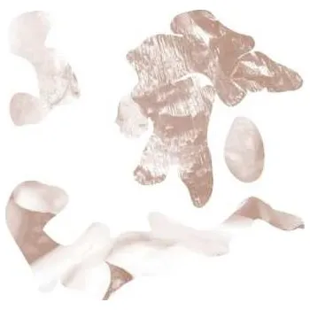 Zahraniční hudba LP soft tissue: hi leaves 2022