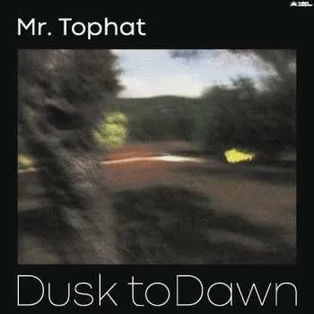Zahraniční hudba 2LP Mr. Tophat: Dusk To Dawn Part II 2019