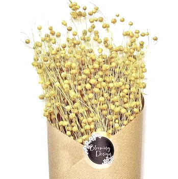 umělá květina Sušený len pastelově žlutý/vanilkový, kytice/svazek 50g