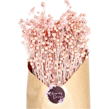 umělá květina Sušený len pastelově růžový, kytice/svazek 100g