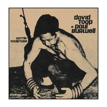 Zahraniční hudba LP David Toop: Suttle Sculpture 2018