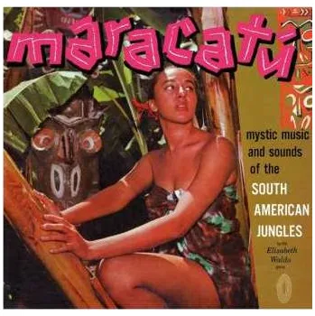 Zahraniční hudba LP Elisabeth Waldo: Maracatú 2021