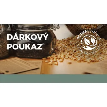 RC model auta Dárkový poukaz - 2646 / 500