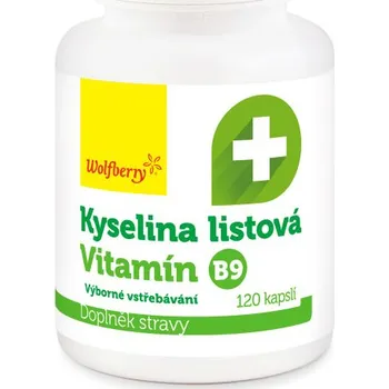 Kyselina listová (vitamín B9) kapsle 120ks Wolfberry