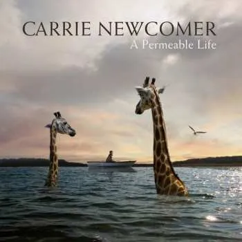 Zahraniční hudba CD Carrie Newcomer: A Permeable Life 2018