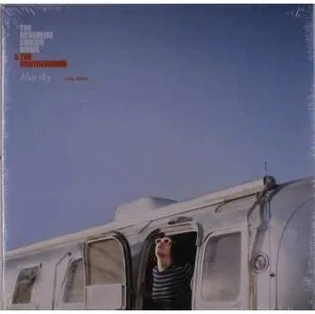 Zahraniční hudba LP The Reverend Shawn Amos & The Brotherhood: Blue Sky 2020 180g Vinyl