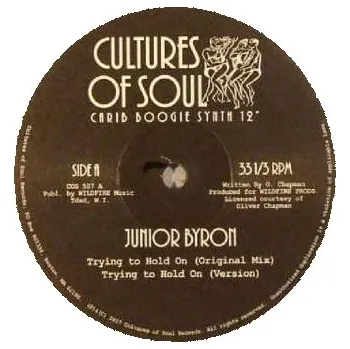 Zahraniční hudba LP Junior Byron: Trying To Hold On 2017