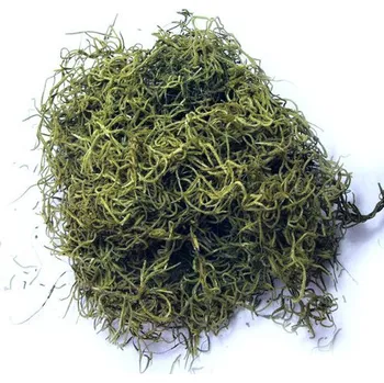 umělá květina Tilancia přírodní 50 g - zelená