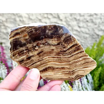 Přírodní kámen Čokoládový kalcit plátek (Pákistán) 168g