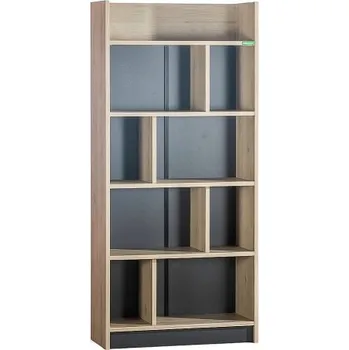 Knihovna Knihovna Colin - dub kestína/šedá